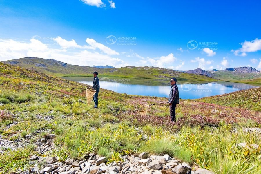 Deosai Plains