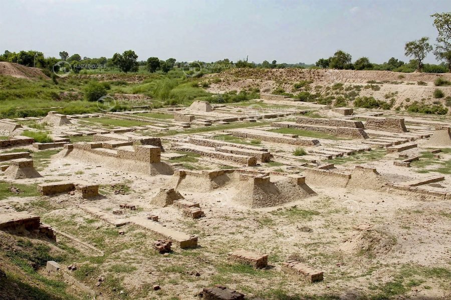 Harappa Heritage Tour