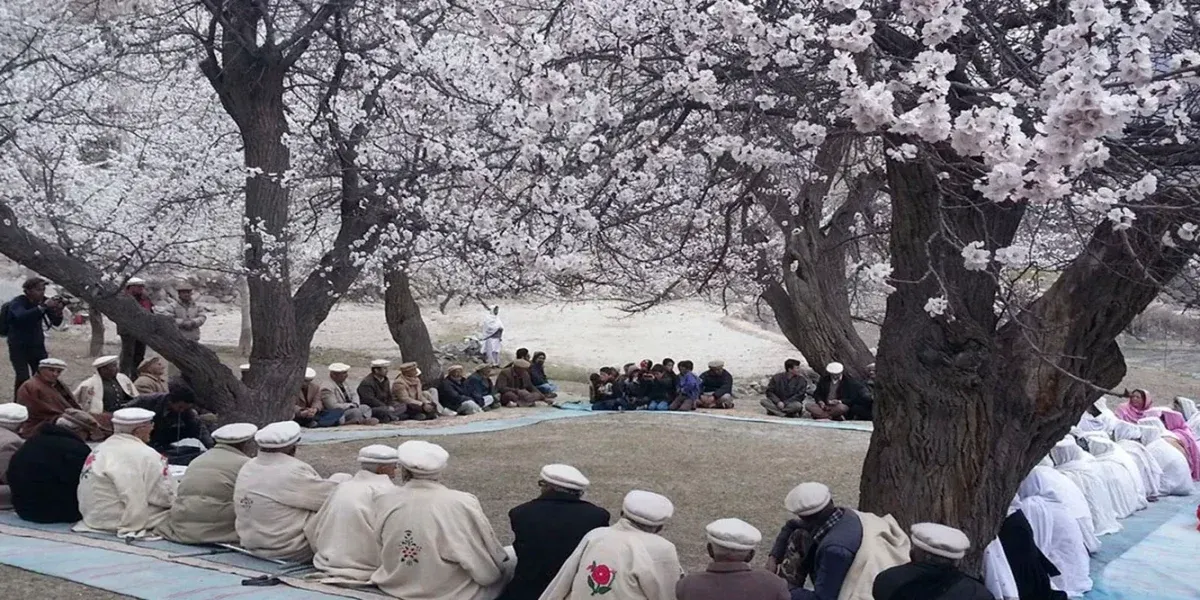 Skardu Cherry Blossom Tour tour photo