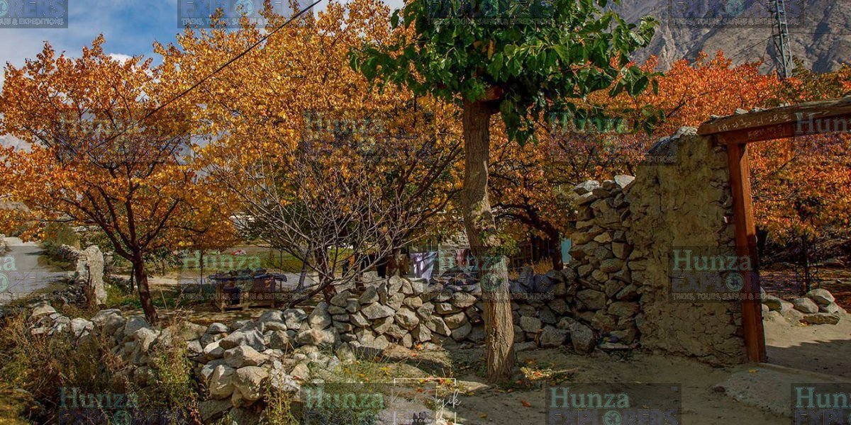 Hunza & Phandar Autumn Tour tour photo