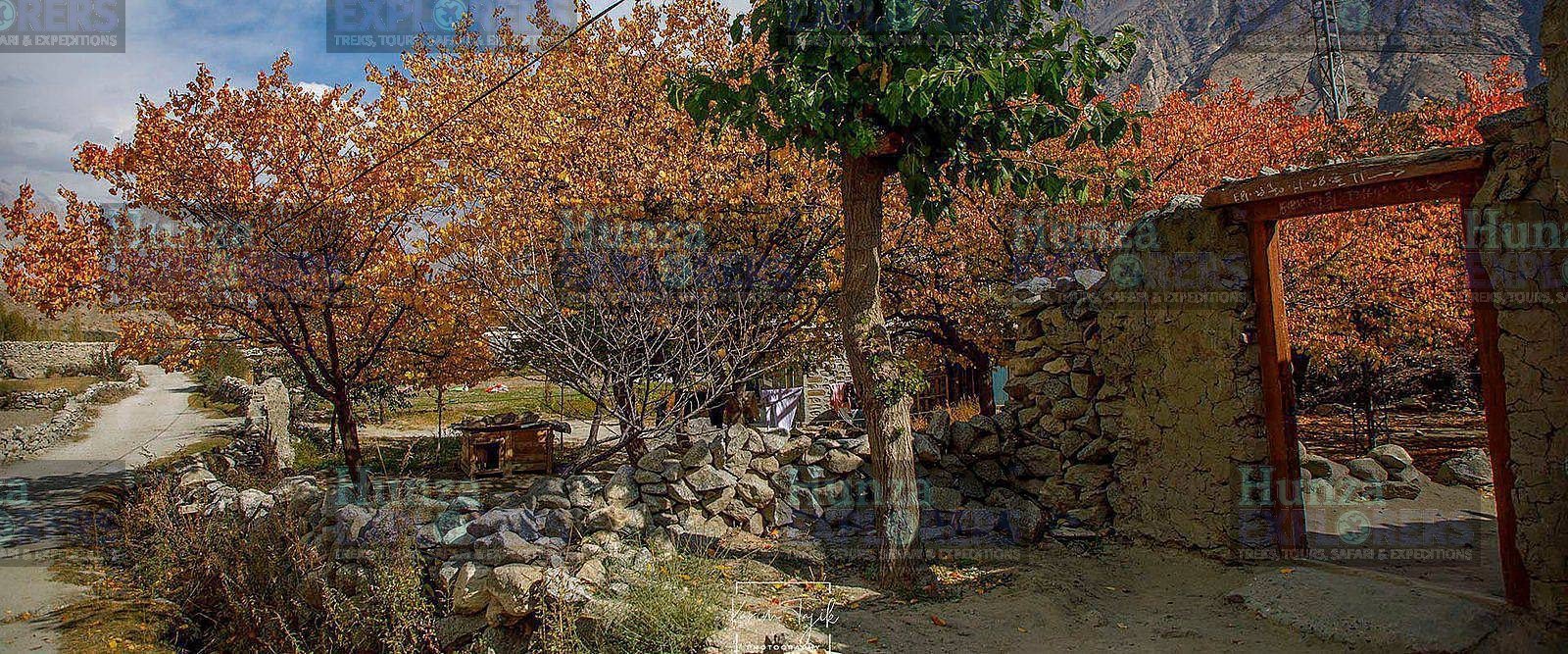 Hunza & Phandar Autumn Tour