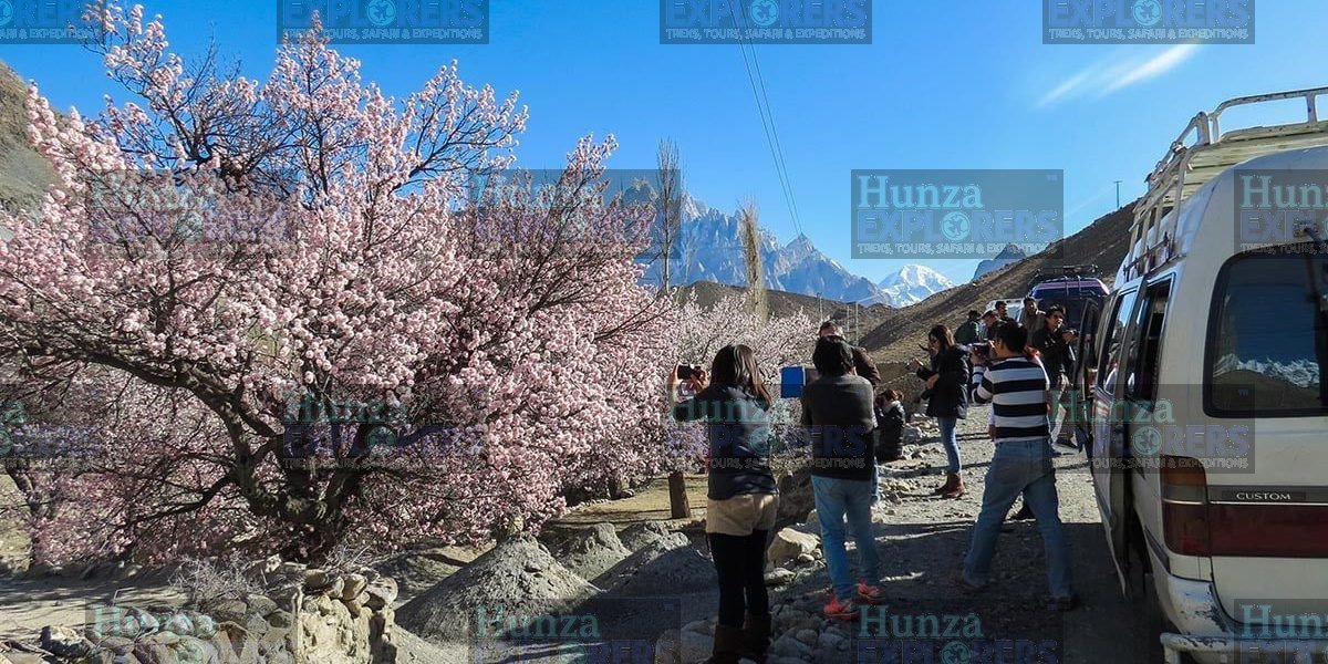 Swat & Hunza Cherry Blossom Tour tour photo