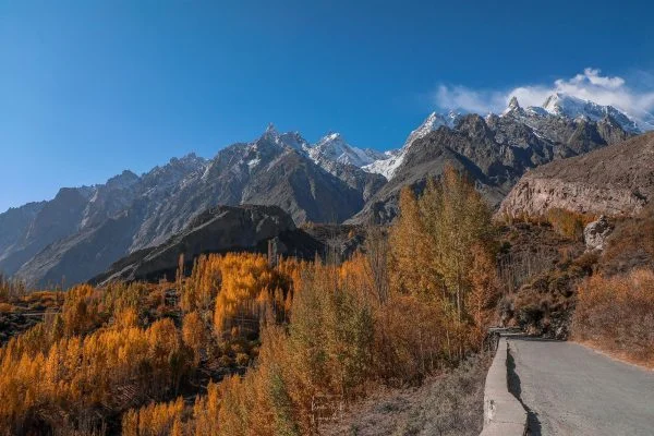 Autumn Tours
