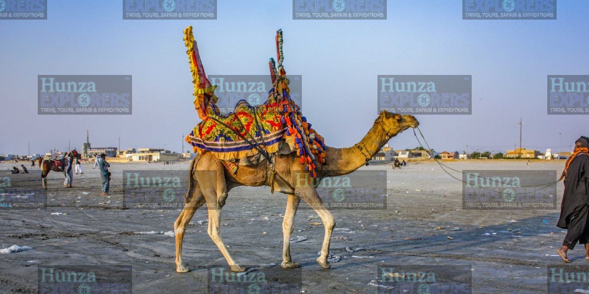 Karachi City Tour tour photo