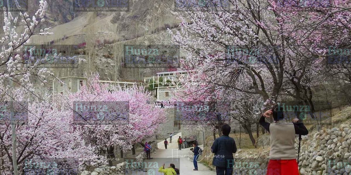 Swat & Hunza Cherry Blossom Tour tour photo
