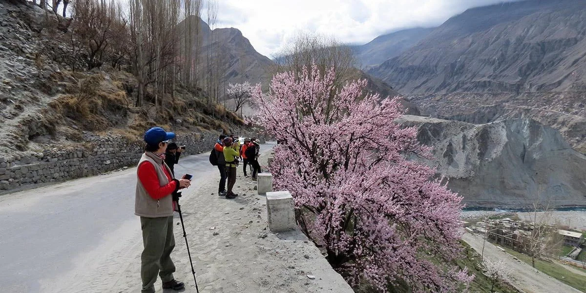 Hunza Cherry Blossom Tour
