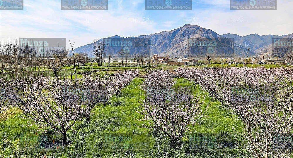 Swat Valley Sightseeing Tour