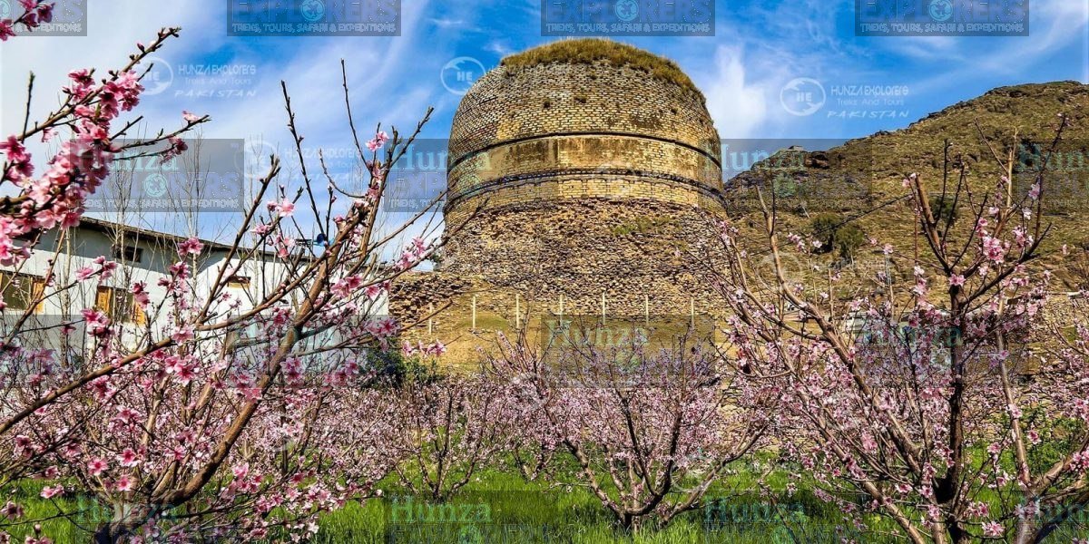 Pakistan Buddhist Pilgrimage tour photo