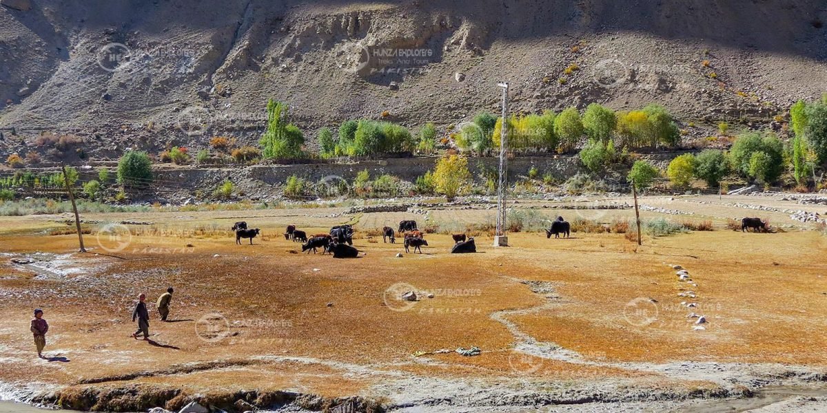 Skardu & Hunza Valley Tour tour photo