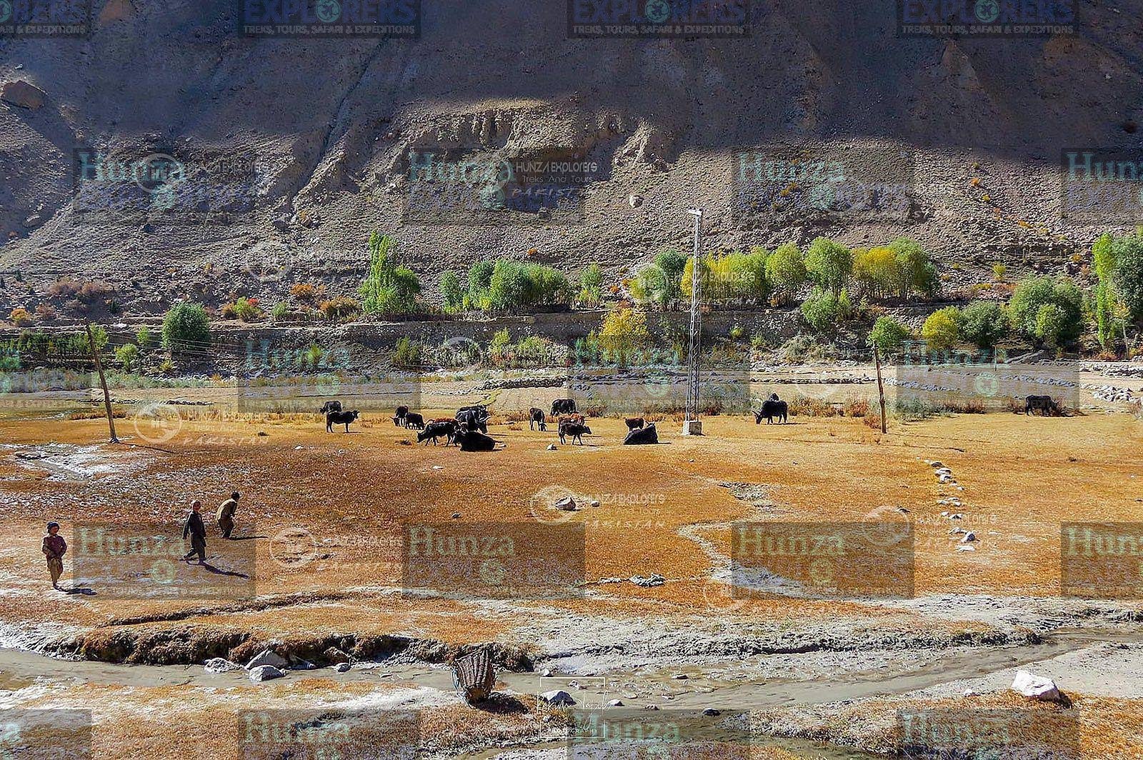 Skardu & Hunza Valley Tour