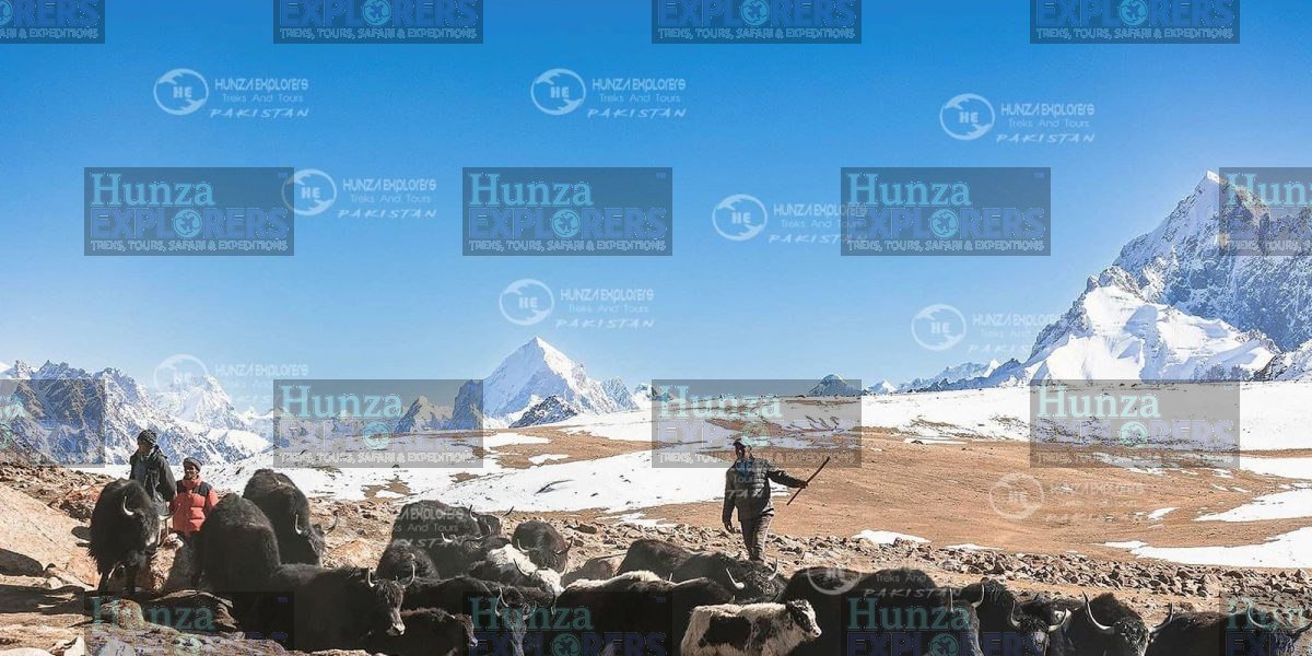Shimshal Kuch Festival tour photo
