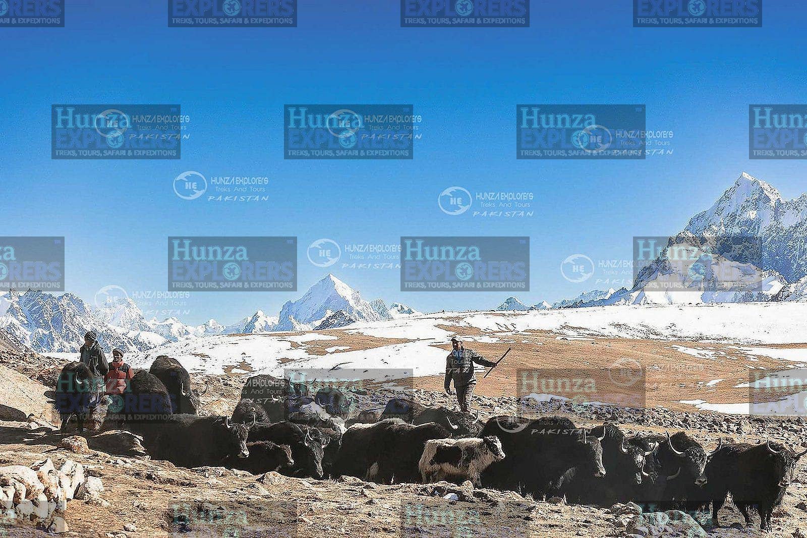 Shimshal Kuch Festival